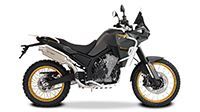 800X RALLY/PRO 2024