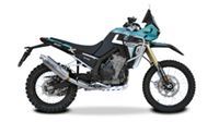 800X RALLY/ PRO 2025-2026